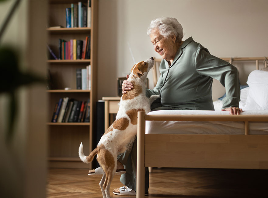 Demande d'admission Volet 1